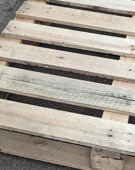 Photo of free Spare wood and pallets (Rotherham S66) #1
