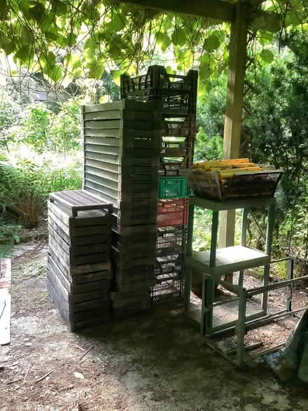 Photo of free Heavy duty black plastic greenhouse shelving (Ludford SY8) #1