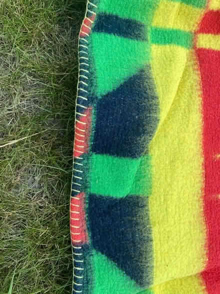 Photo of free Picnic blanket (Bloomfield) #1