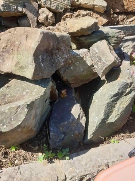 Photo of free Large Rockery & concrete planters (ME16 - Allington) #3