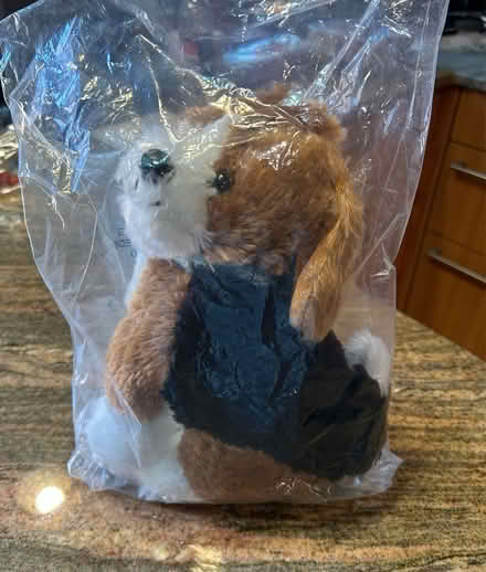 Photo of free Puppy Stuffed Animal (Capitol Hill NE (20002)) #1