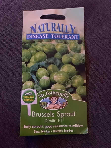 Photo of free Brussels Sprout Seeds x 1 pack (Battersea SW8) #1