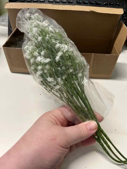 Photo of free baby's breath flower stems (Near the old Sherman Hospital) #2