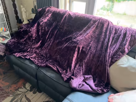 Photo of free Purple velvet throw, bed spread (Spondon DE21) #2