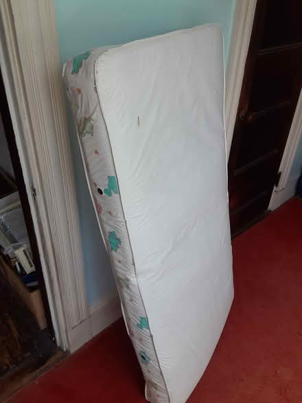 Photo of free Crib size mattress and futon (Jamaica Plain) #1