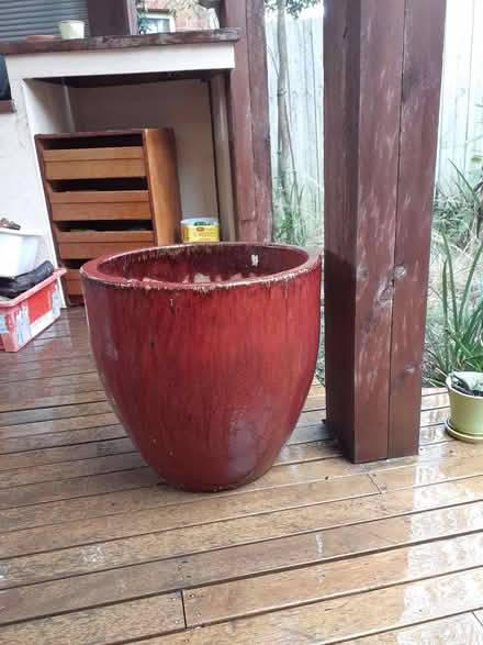 Photo of free Garden Pot (Highton) #1