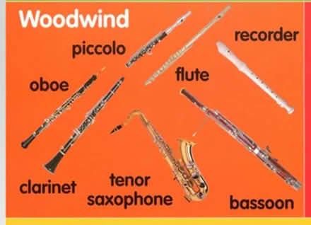 Photo of Woodwind instruments (Watford WD24) #1