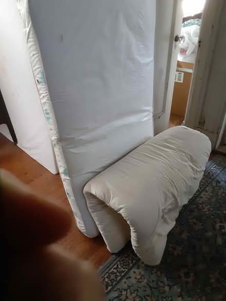 Photo of free Crib size mattress and futon (Jamaica Plain) #2