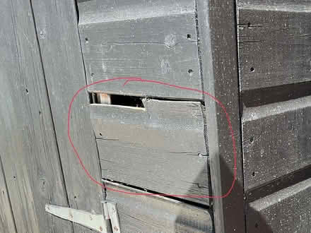 Photo of Wood to repair a shed (BN27) #2