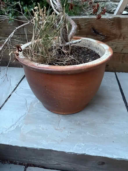 Photo of free Flower pot (Sutton poyntz DT3) #1