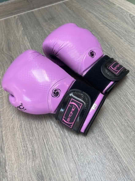 Photo of free Girls Pink Martial Arts Boxing Gloves. Good condition. (Southsea PO4) #1