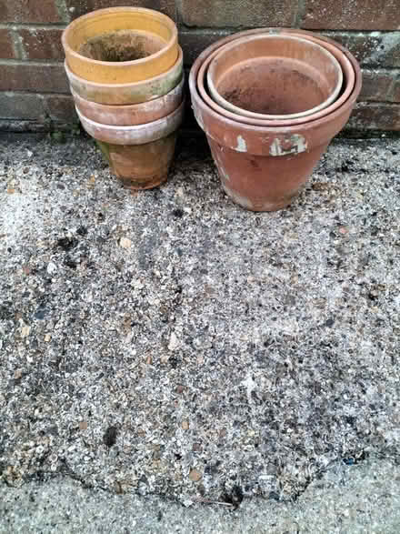 Photo of free 3 Lge & 4 Med Terracotta Pots (Waterlooville PO7) #1