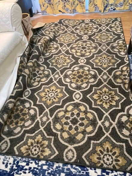 Photo of free “5 x 7” feet rug Howard County (Scaggsville) #4