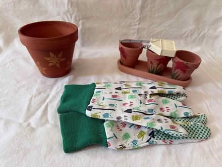 Photo of free Gardens tiny pots and glove (Yonge & Mulock) #1