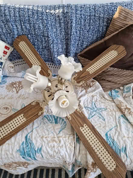Photo of free Ceiling fan with light (Portsmouth PO3) #1