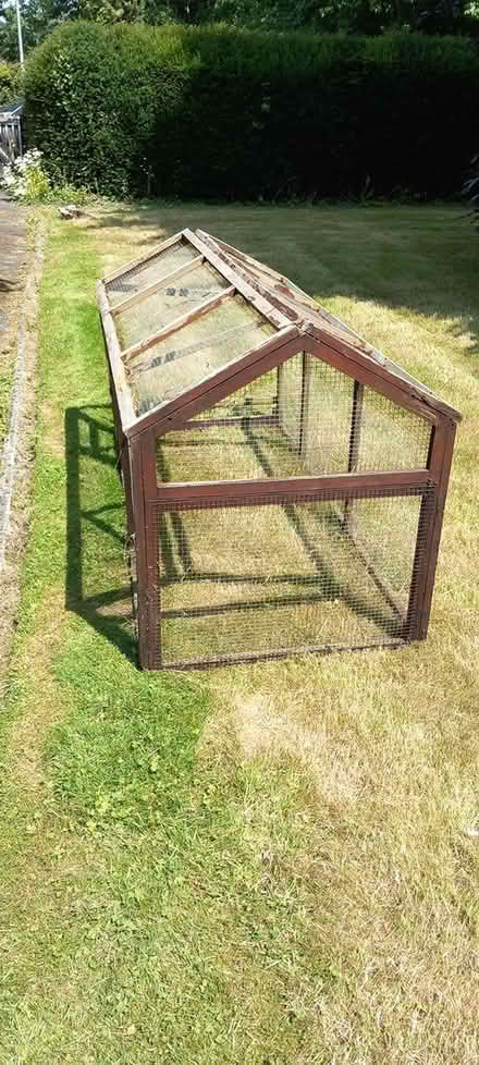 Photo of free chicken run (Builth Wells) #1