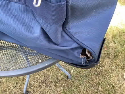 Photo of free Wheeled holdall (Parsons Heath CO4) #3