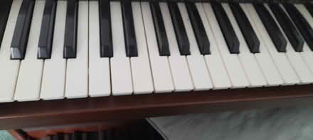 Photo of free Organ and seat (Rg22 6ru) #3