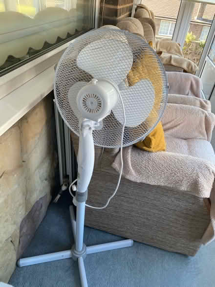 Photo of free Pedestal fan (Belper DE56) #1