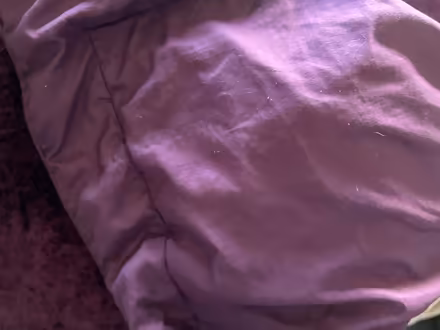 Photo of free Purple velvet throw, bed spread (Spondon DE21) #3