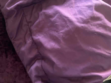 Photo of free Purple velvet throw, bed spread (Spondon DE21) #3