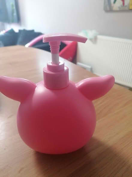 Photo of free Soap dispenser (Parkstone BH14) #2