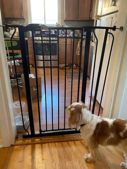 Photo of free Pet/baby gate (Wilmette - Lake & Illinois) #1
