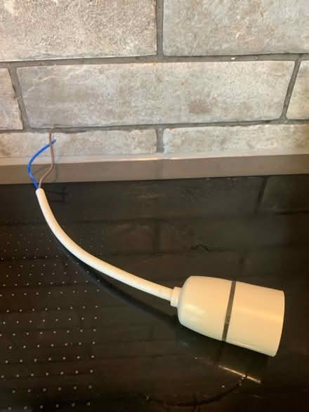 Photo of free Single Light fitting (Tilehurst RG30) #1