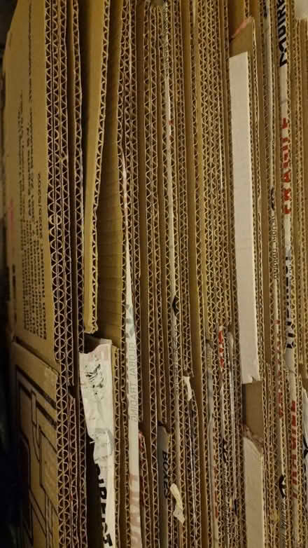 Photo of free Moving boxes 40-50 (Sw18) #2