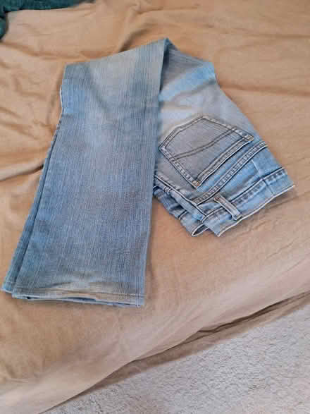 Photo of free Women's Jeans (Mount Pleasant Go, Brampton) #1