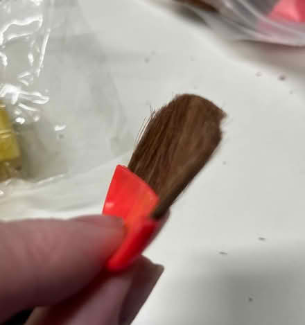 Photo of free sponge brushes and mini soft brushs (Near the old Sherman Hospital) #3