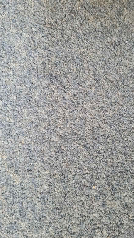 Photo of free Mid blue carpet (South Brent) #1