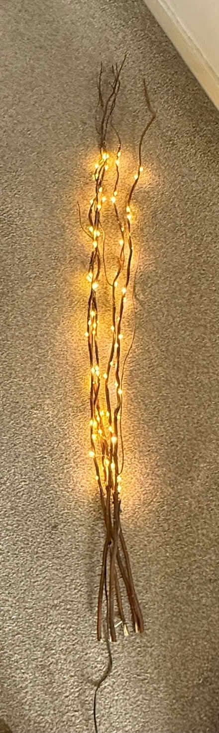 Photo of free Decorative branches with lights (Bidston Hill CH43) #1