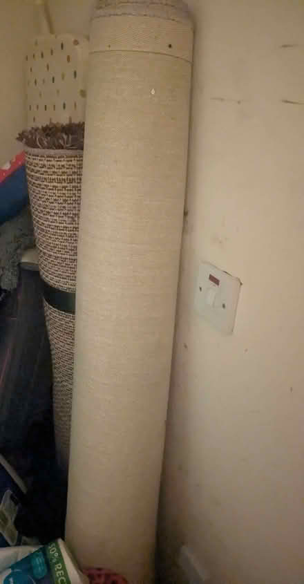 Photo of free TV, vacuum and 2 x rugs (Drum Brae EH4) #3