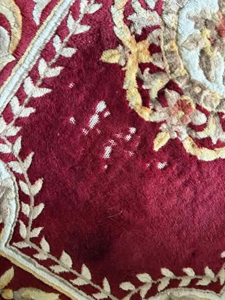 Photo of free Oriental rug (Palatine) #2