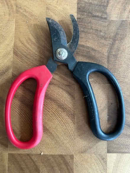 Photo of free Small plant secateurs (Phippsville) #1