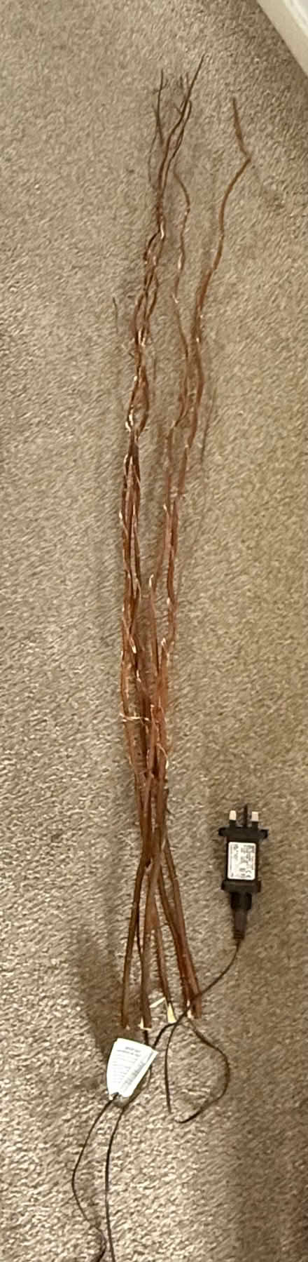 Photo of free Decorative branches with lights (Bidston Hill CH43) #2