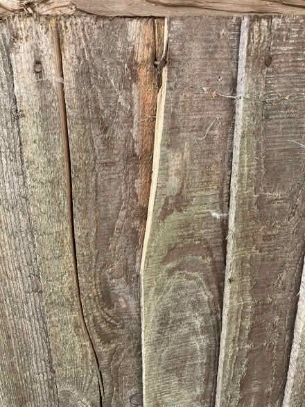 Photo of free Fencing Panels Heavy Duty Closeboard 6FT x 4FT (Barlow S18) #2