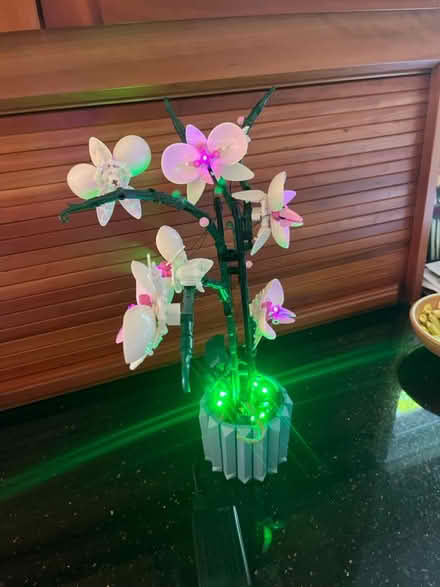 Photo of free LEGO Orchid (Between Ypsilanti and A2) #1