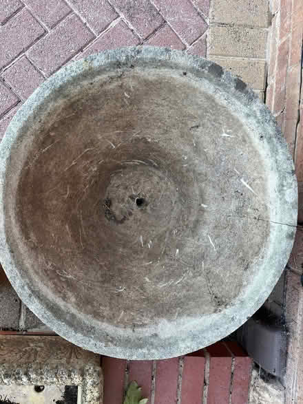 Photo of free Large flower/bush tub (Thurmaston LE4) #3