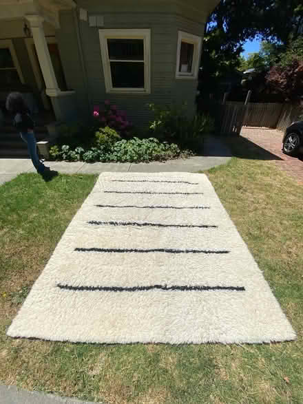 Photo of free Shaggy floor Rug (Berkeley) #2