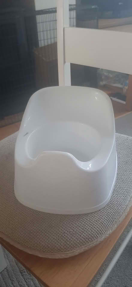 Photo of free White potty (Kingsway) #1