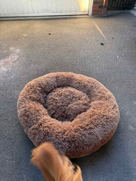 Photo of free Dog bed (Tyburn B24) #2