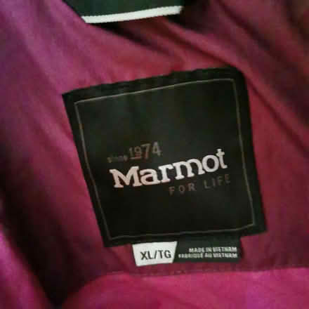 Photo of free Woman's Jacket (Felling) #2