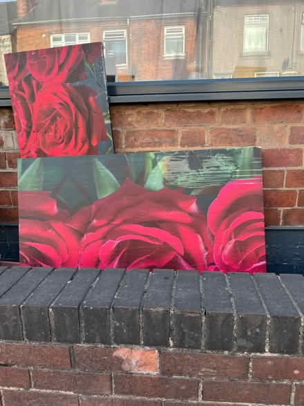 Photo of free Canvass (Loscoe Grange DE75) #1