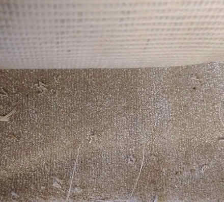 Photo of free Synthetic carpet offcut (Nutley TN22) #1