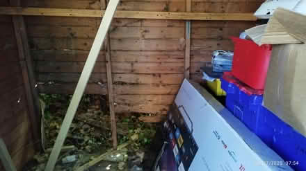 Photo of free Shed (Albany park DA14) #3