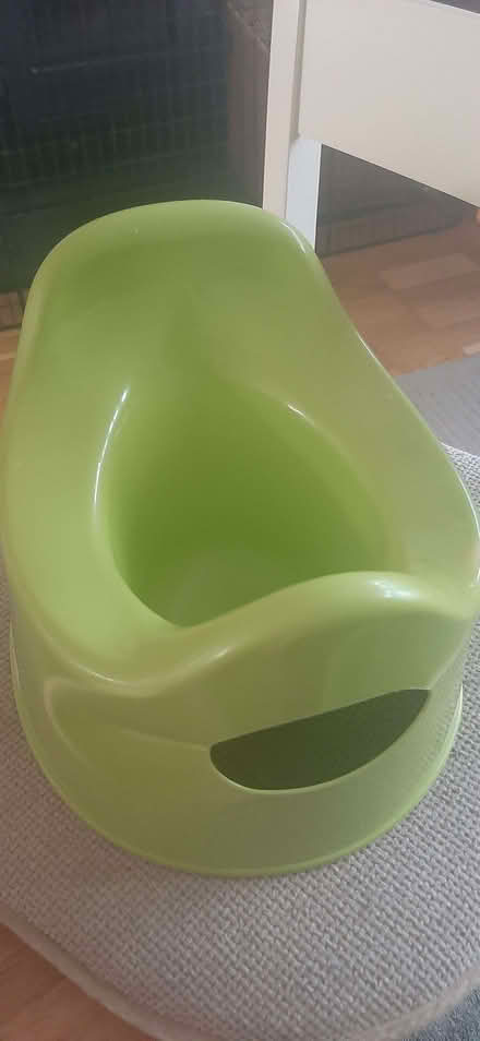 Photo of free Green potty (Kingsway) #1