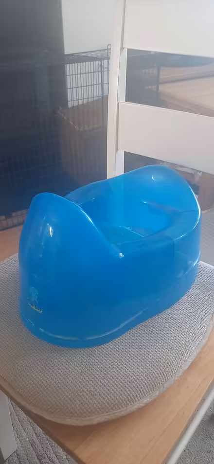 Photo of free Blue potty (Kingsway) #1