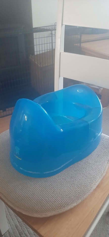 Photo of free Blue potty (Kingsway) #1